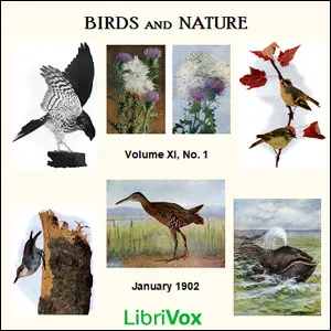 Birds and Nature, Vol. XI, No 1, January 1902 by Various - POGO FM