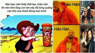 Meme ảnh chế#30: con heo này thật dảk