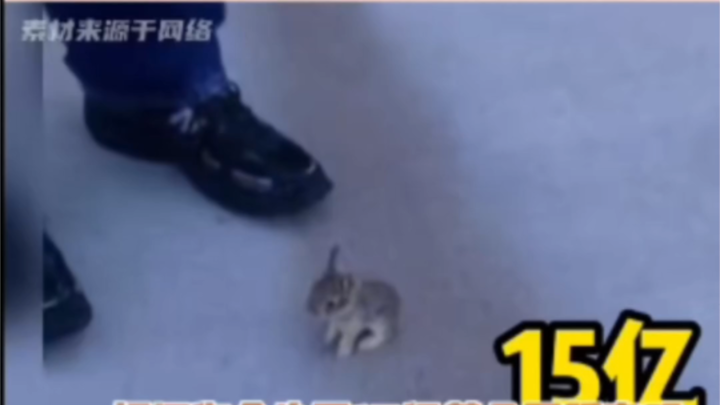 你会为了15亿美金踩它吗？我:深红电钻
