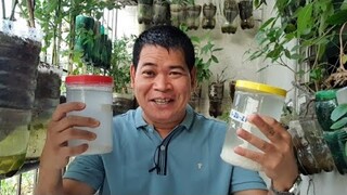 PAGGAWA NG NATURAL PESTICIDE AT FERTILIZER MULA SA KANIN (with ENG subs)