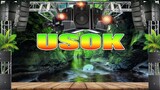 Asin - Usok (Rap Reggae Remix) Dj Jhanzkie Tiktok 2021