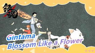 [Gintama] Blossom Fearlessly Like a Flower