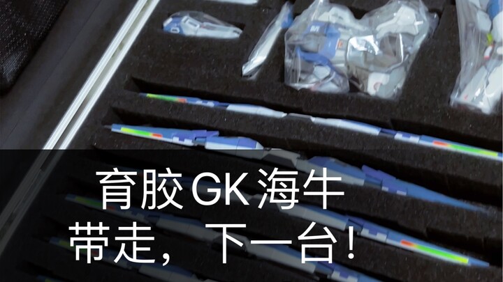 直播预约GK海牛带走，下一台！#胶佬 #大人也要玩玩具 #高达GK