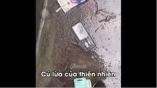 Thử Thách Nhịn Cười Khi Xem Video #meme