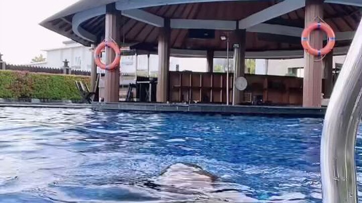kienzy kolam renang