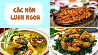 TOP Các Món Lươn Siêu Đơn Giản Thơm Ngon