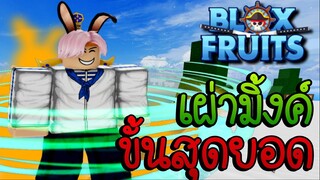 Blox Fruits 🌟EP.5 | เข้านิวเวิลด์วันแรก ทำเผ่ามิ้งค์ Evo ขั้น 3🔥⚔️