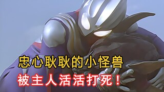 忠心耿耿的小怪兽盖迪，被自己的主人活活打死！