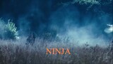 hollywood Action movie ninja [Hindi Dubb]