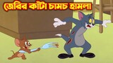 Tom and Jerry Bangla || জেরির কাঁটা চামচ হামলা