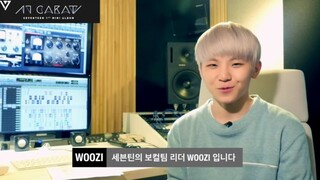 [RAW] SEVENTEEN '17 CARAT ALBUM PREVIEW BY WOOZI'