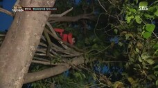 Law of the Jungle in Himalayas [3] ENG SUB