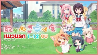 แมวนรก สยบดุ้น !! 1-12 ตอนจบ ( Nyanko Days พากย์นรก )