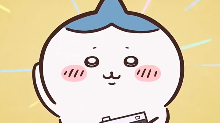 Why is Xiaoba's head so pointy?