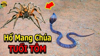 🔴7 Động Vật Cực NGUY HIỂM Cực ĐÁNG SỢ Khiến Hổ Mang Chúa Cũng Phải Khóc Thét Khi Đối Đầu