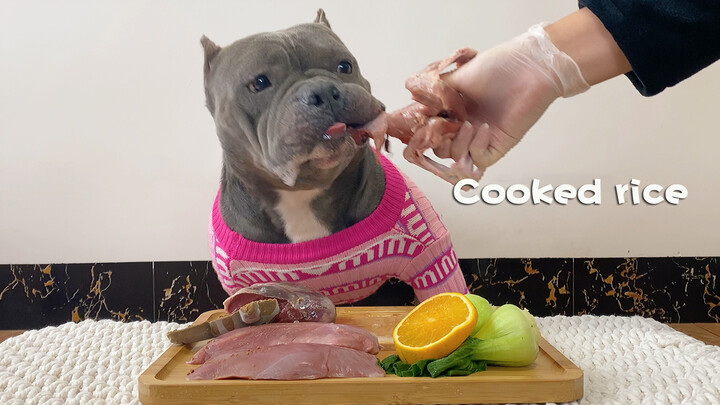 A video of a dog eating all kinds of food