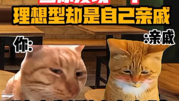 《猫meme小剧场》当你发现一个理想型却是自己亲戚时！