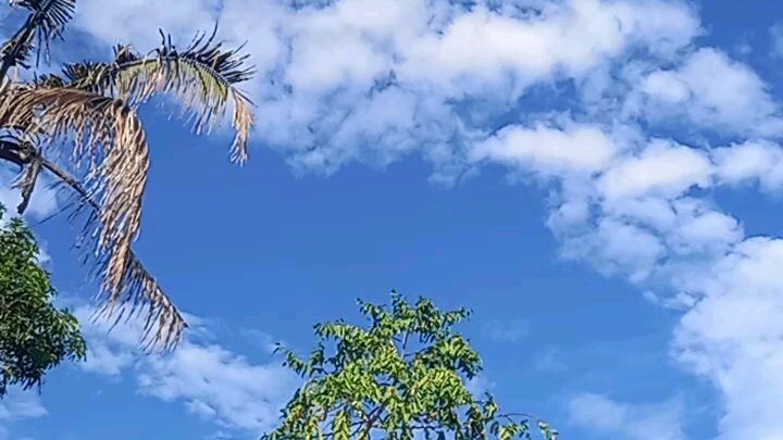 Province life. this during holy week. the dove circling around.