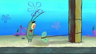 Spongebob Squarepants - PLANKTON'S PET | Season 09 Episode 08 Part 02