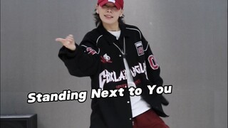 这舞是真的帅！就是有点费腿《Standing Next to You》