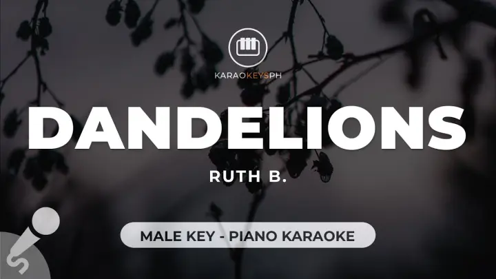 Dandelions - Ruth B. (Male Key - Piano Karaoke)