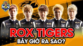 LMHT | Rox Tigers - Huyền Thoại LCK Giờ Ra Sao | MGN eSports