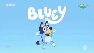 Bluey Theme Tune (versi Bahasa Indonesia)