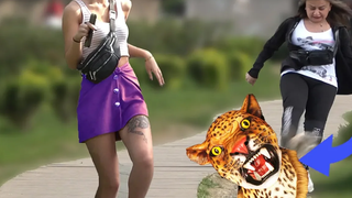 LEOPARD PRANK 2019 - ปฏิกิริยาที่ยอดเยี่ยม - ดีที่สุดเพื่อหัวเราะ