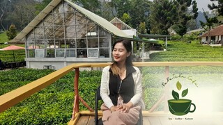 Pepeteka Cafe☕️🧈🌿 Cafe Estetik di tengah hamparan kebun teh yang viral banget!!