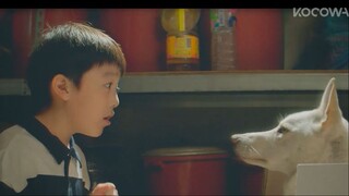 Watch The Pork Cutlets Episode 2 online with English sub