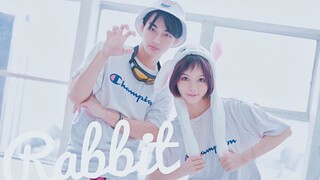 【狗儿x洺草】Rabbit ^ ^狗尾巴草组合疯了【陈乐一】