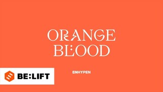 ENHYPEN (엔하이픈) ‘ORANGE BLOOD’ LOGO TRAILER