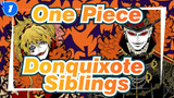 One Piece|【 Birthday Celebration】Donquixote Siblings_1