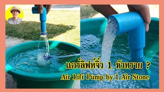 Air Lift Pump by 1 Air Stone แอร์ลิฟท์จิ๋ว 1 หัวทราย l คุณพ่อคราฟ EP.56