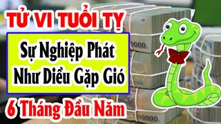 Xem Tử Vi Tuổi Tỵ 6 Tháng Đầu Năm 2021, Mùi Sự Nghiệp Phát Như Diều Gặp Gió