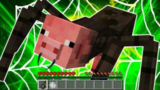 ใช้ชีวิตเป็นหมูแมงมุมยักษ์สุดโหดในมายคราฟ... (Minecraft)