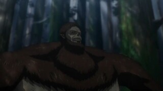 BALASAN LEVI UNTUK ZEKE