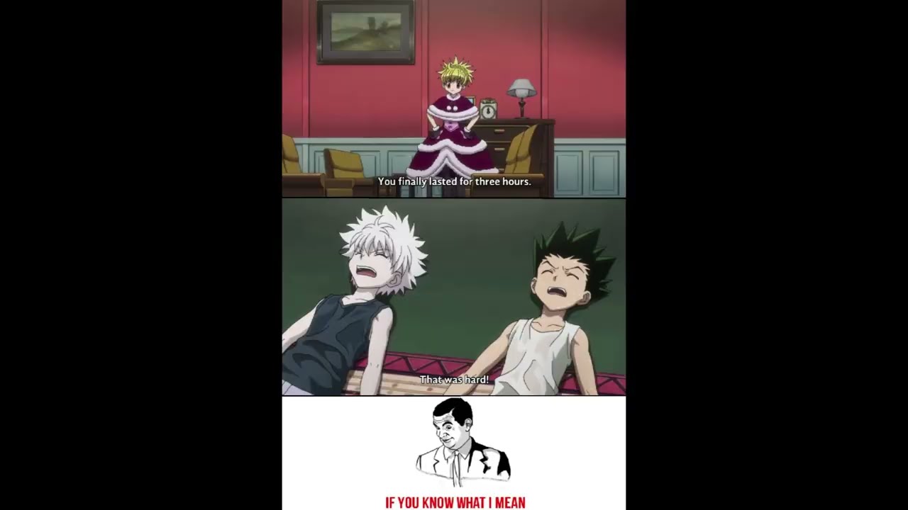 Memes de Animes!!!, Hunter X Hunter