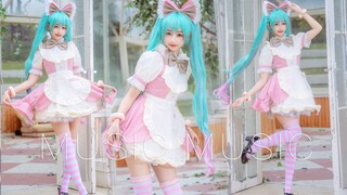 【北北】初音未来cos-music music-将我对你的思念不间断地奏响