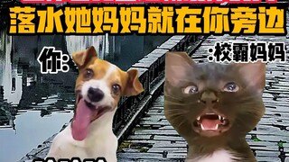 《猫meme小剧场》当你看见曾经霸凌你的人落水她妈妈就在你旁边时！