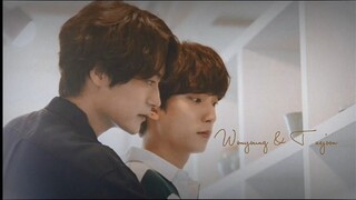 Wonyoung x Taejoon | My Everything [Unintentional love story]