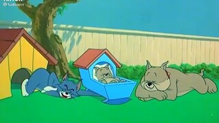 Tom and jerry phiên bản huỷ diệt💥