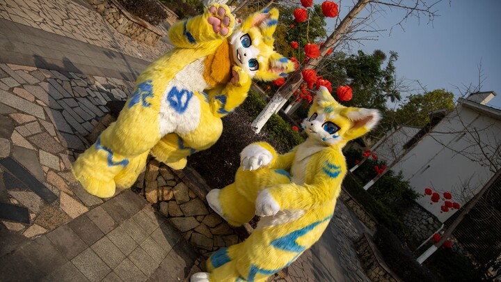 Fursuit Dance】Wunuo & Aling Happy Star Cat