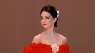 【茶花女】山茶花开满坟头，救赎者却来迟一步