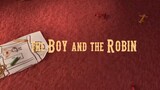 THE BOY AND THE ROBIN | SHORT ANIMATED FILM