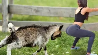 HAVING A BORED DAY ? Funniest Animals Scared People Reaction of 2019 Weekly 😆😆 Funny Animal Video