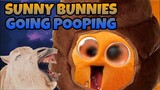 [YTP] SUNNY BUNNIES GOING POOPING