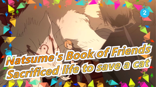 Natsume'sBookof Friends|Madara&Natsume-S4E2 Natsume sacrificed to save a cat in Oriental Forest_1