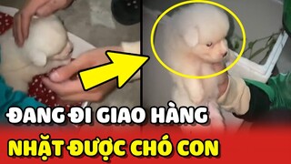 Anh Shipper nhặt được CÚN CON khi đang đi giao hàng, THẾ NHƯNG... | Yêu Lu