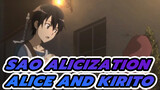 SAO Alicization
Alice and Kirito